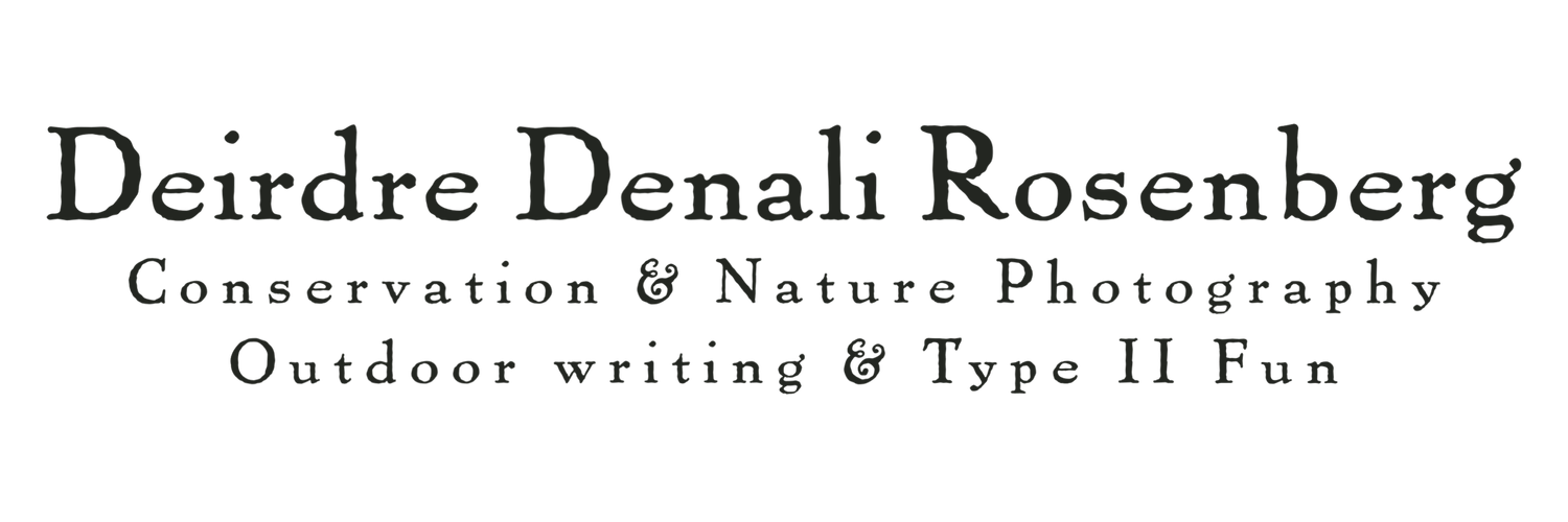 Deirdre Denali Photography