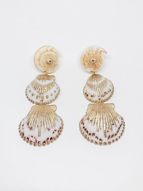 Shell Earrings
