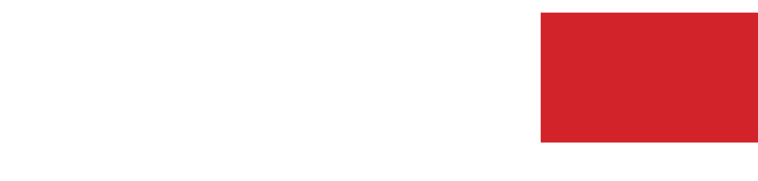 The State of the World's Sea Turtles | SWOT