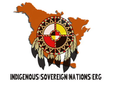 ISN logo