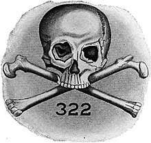 skullbones.jpg