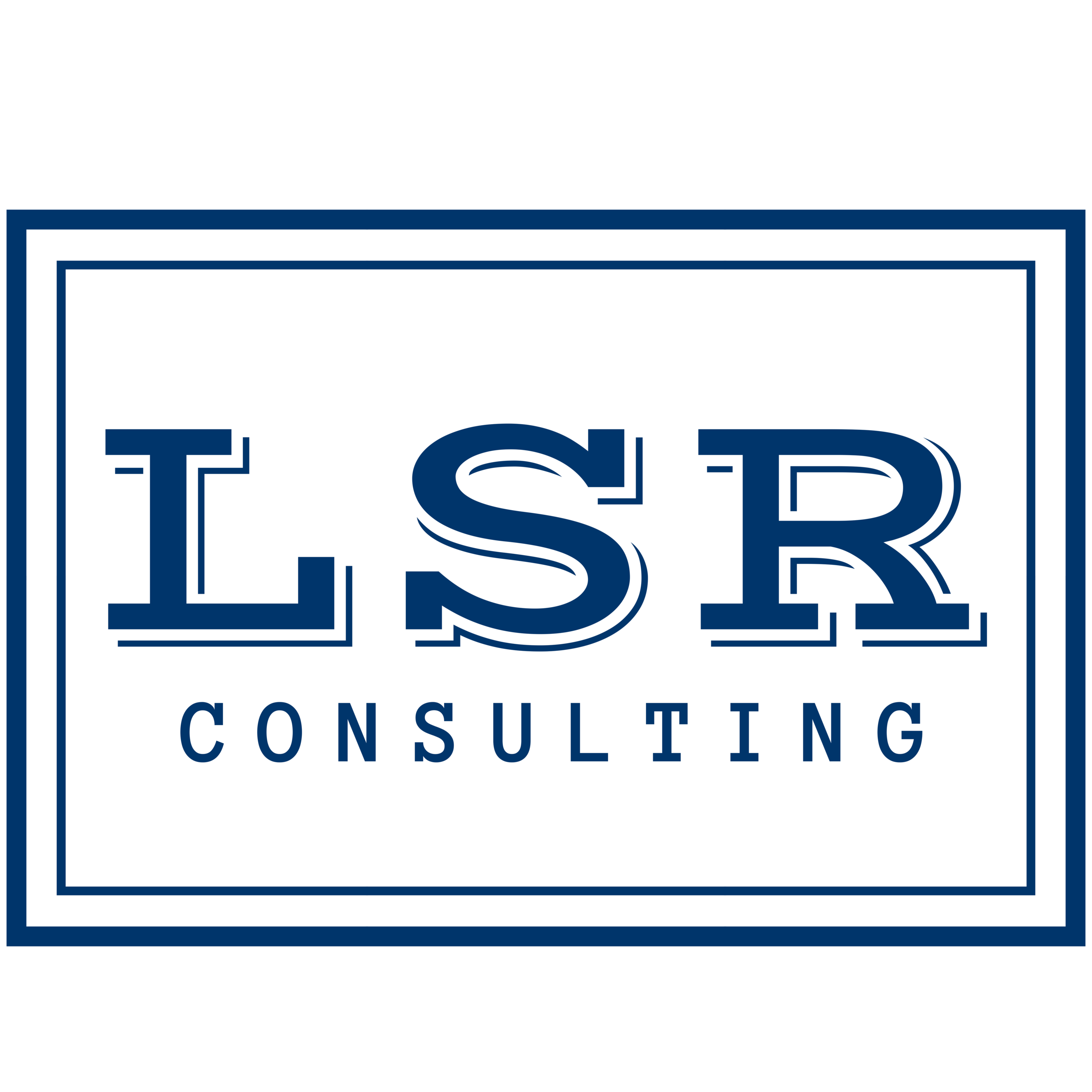LSR Consulting