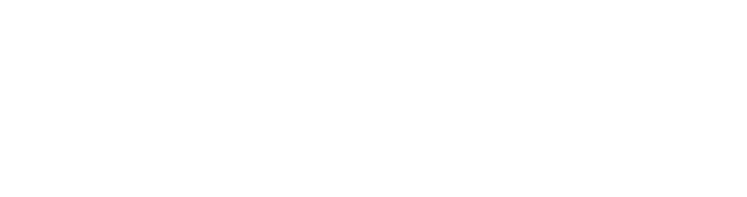 Barnes & Co Insurance Services