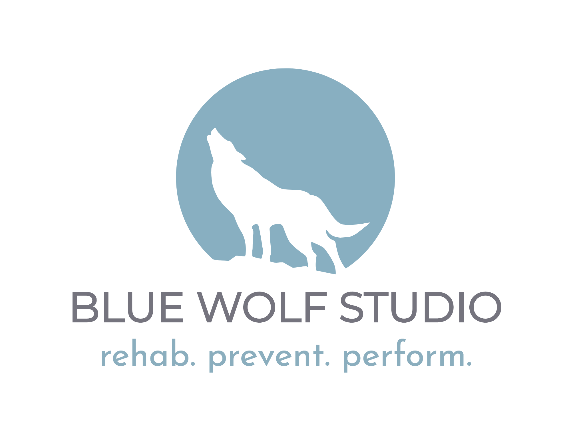 BLUE WOLF STUDIO