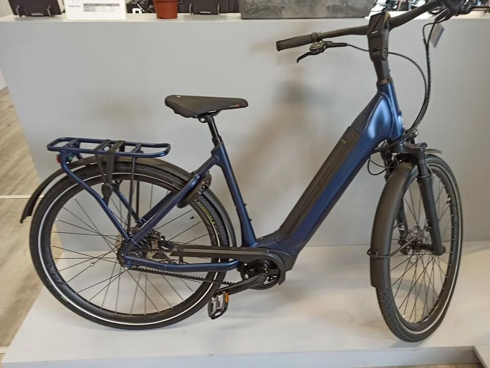 Giant Dailytour E+1 BD — Etappe