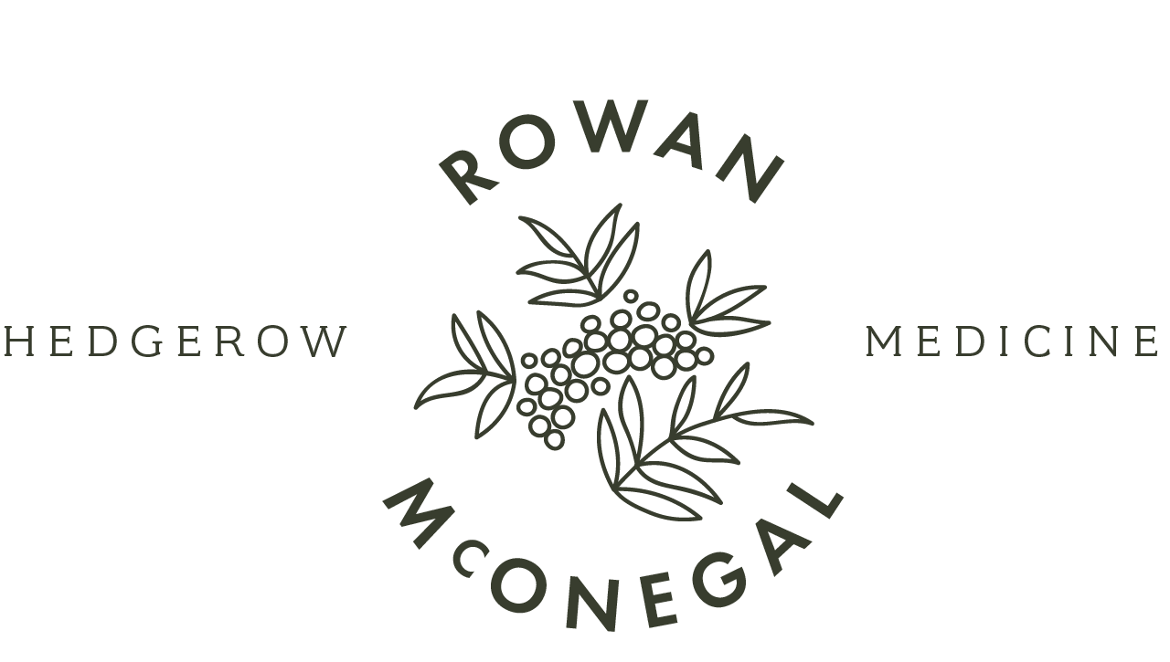 Rowan McOnegal Hedgerow Medicine