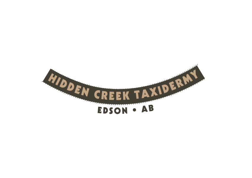 Hidden Creek Taxidermy