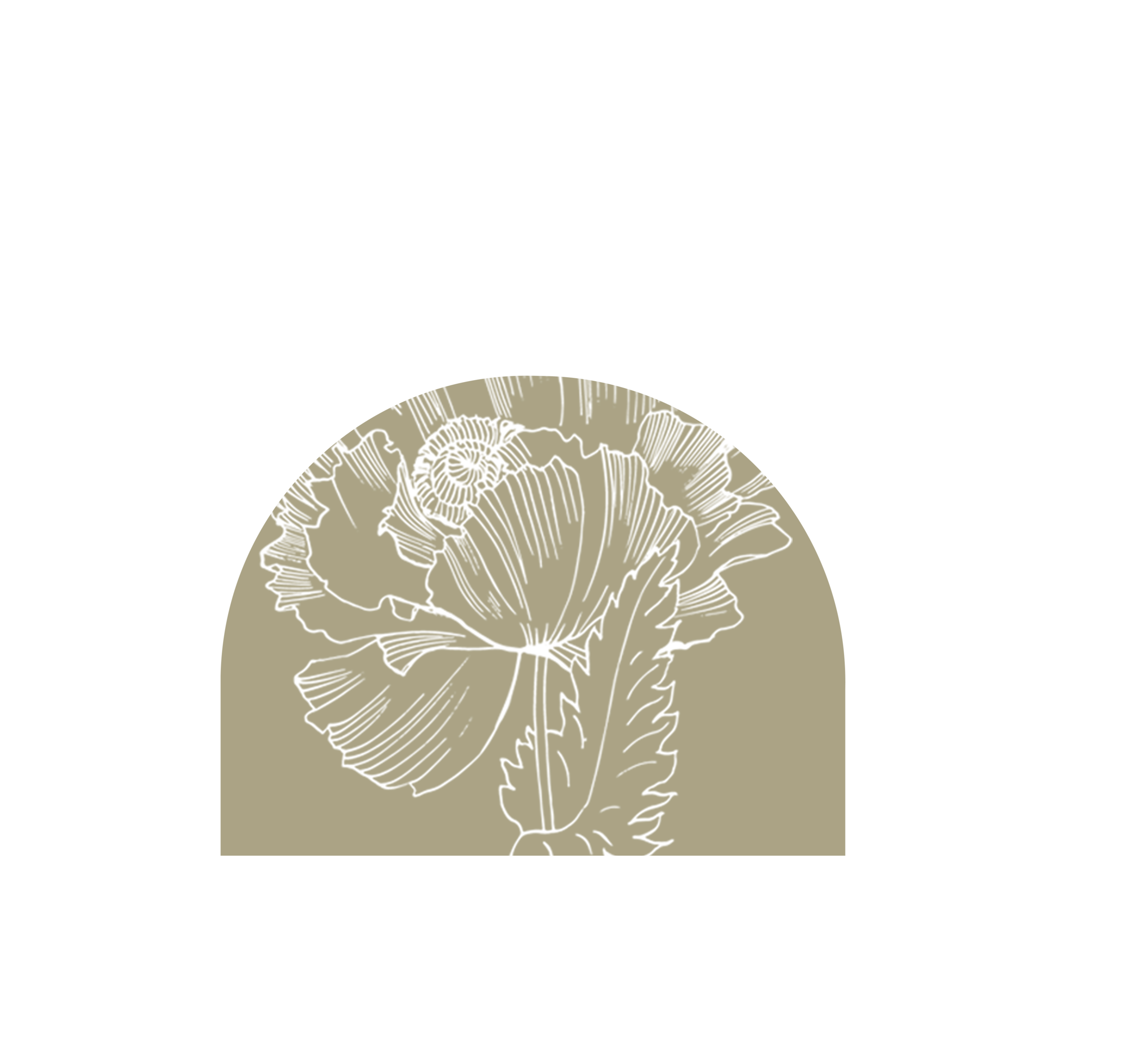 Bailey Riley Photo