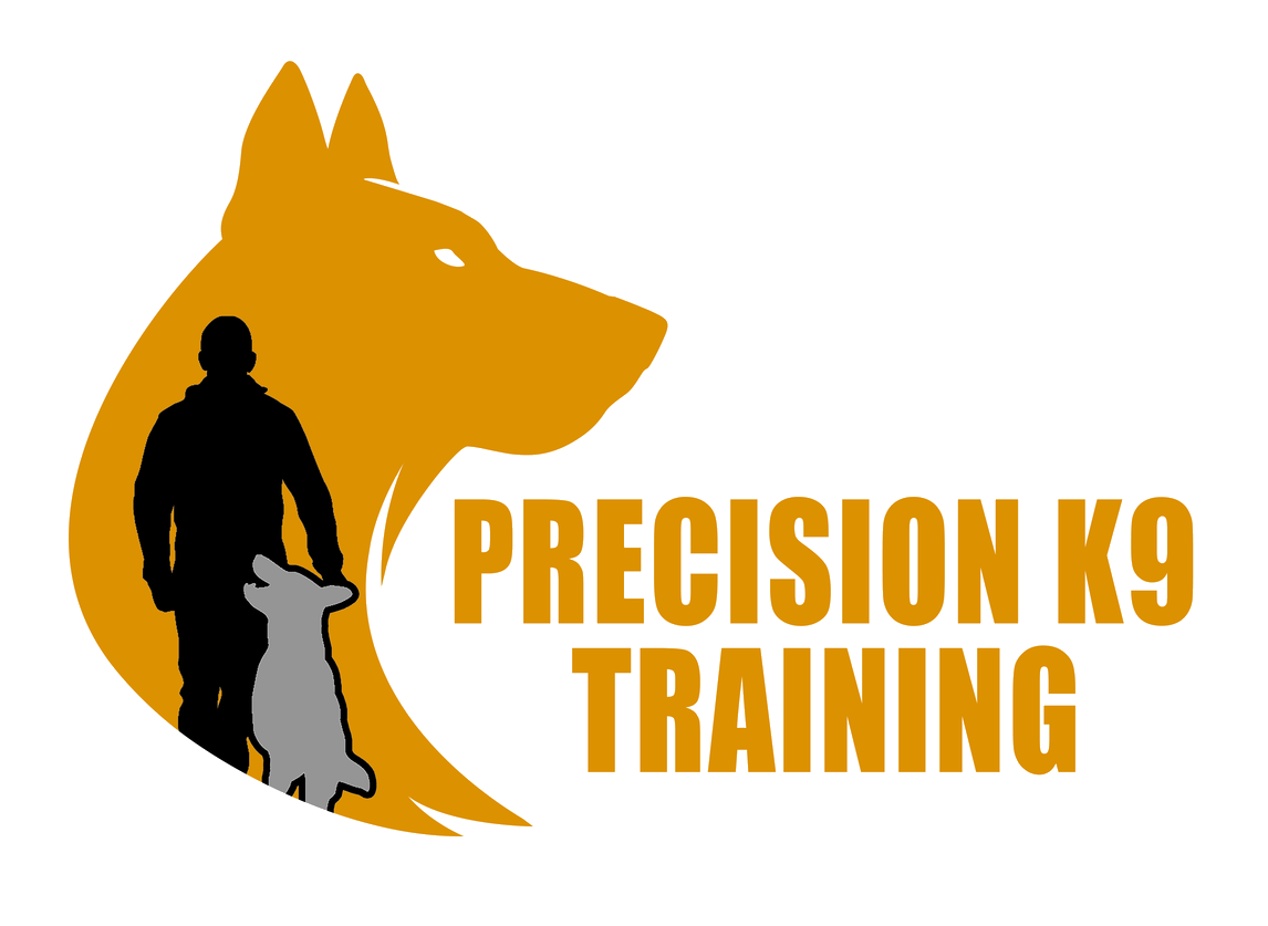 Precision K9 Training