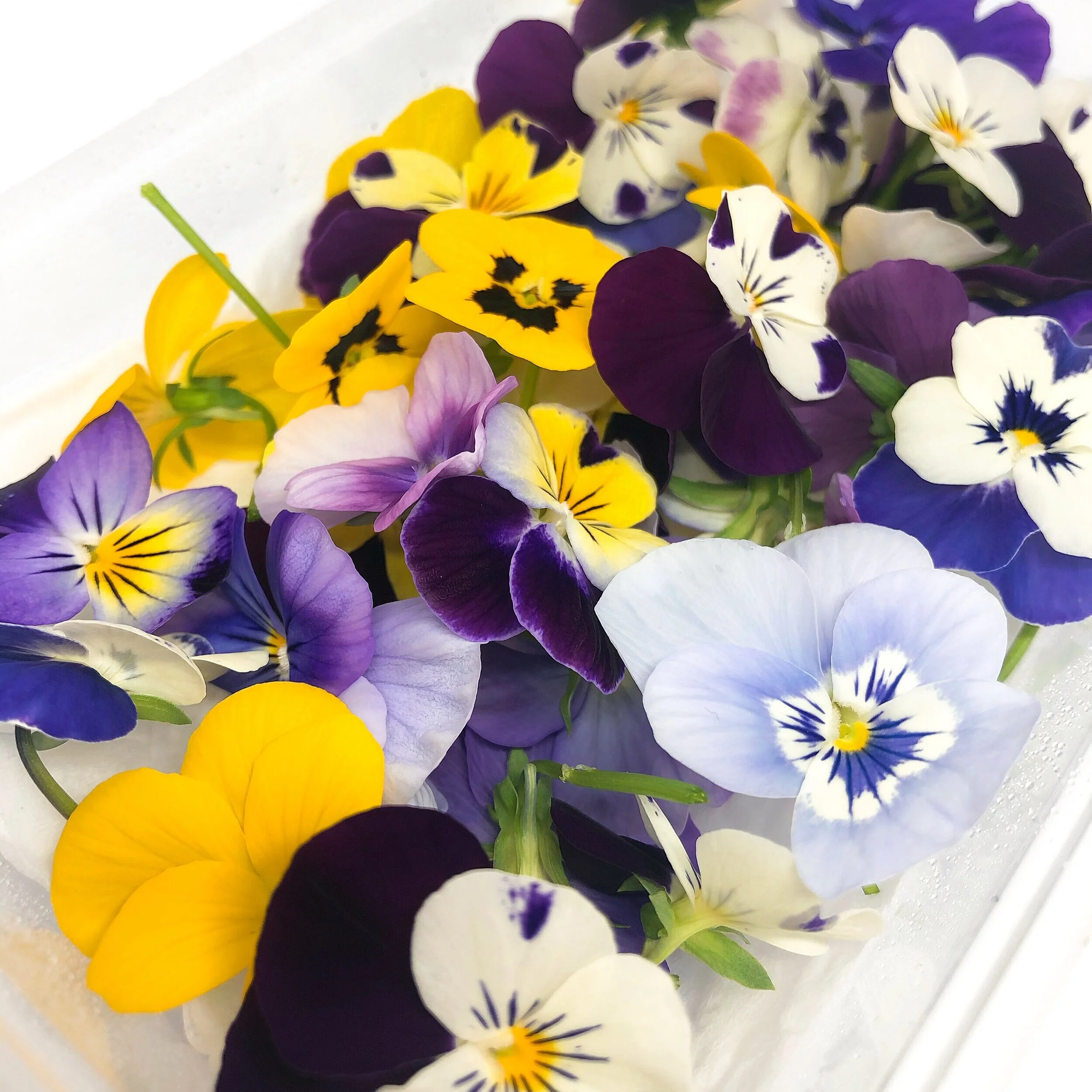 花 食用