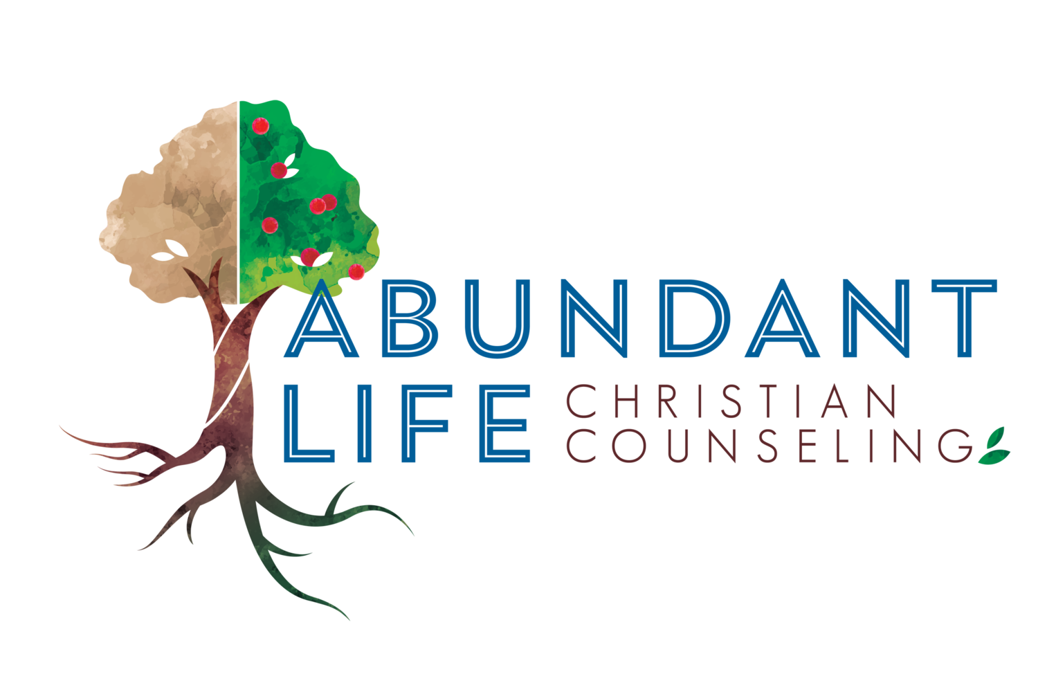 Abundant Life Christian Counseling