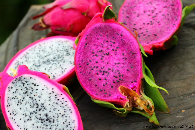 Dragon fruit