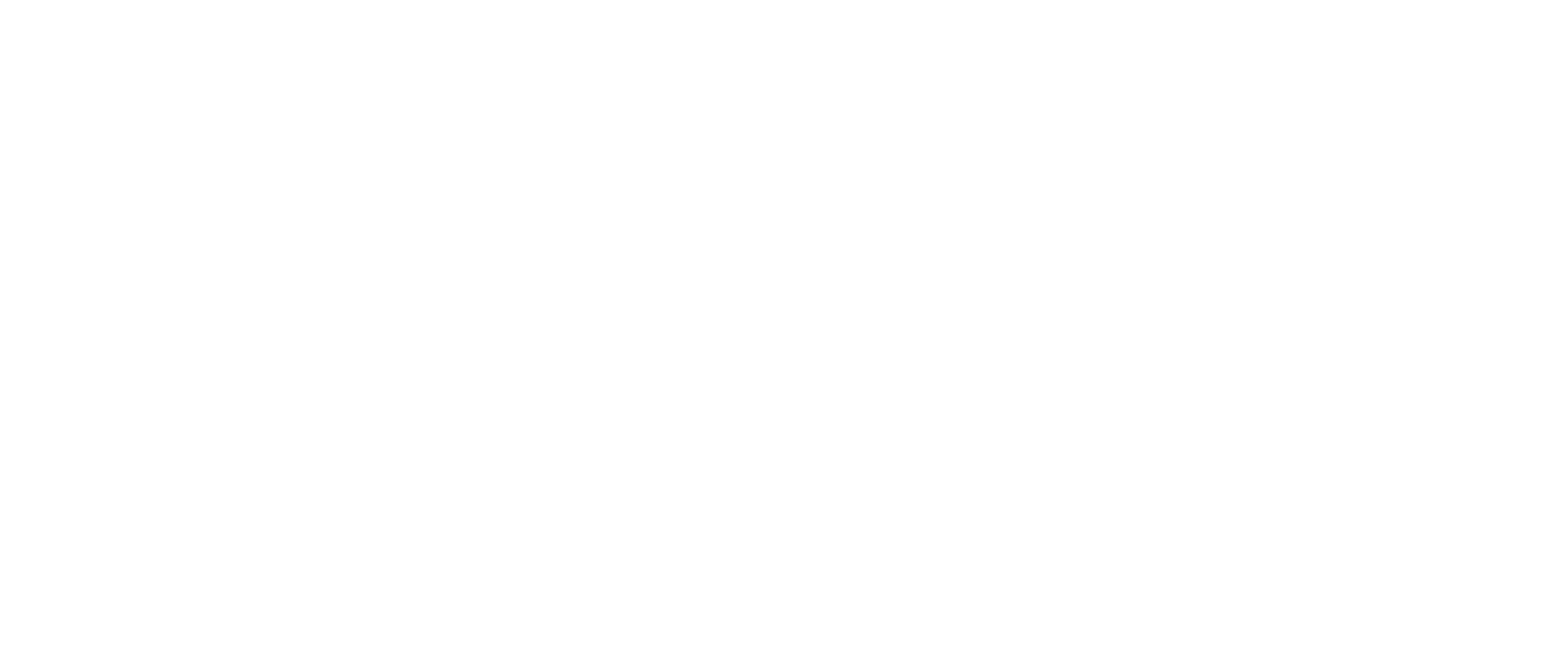Ruff Runners Dog Running Service