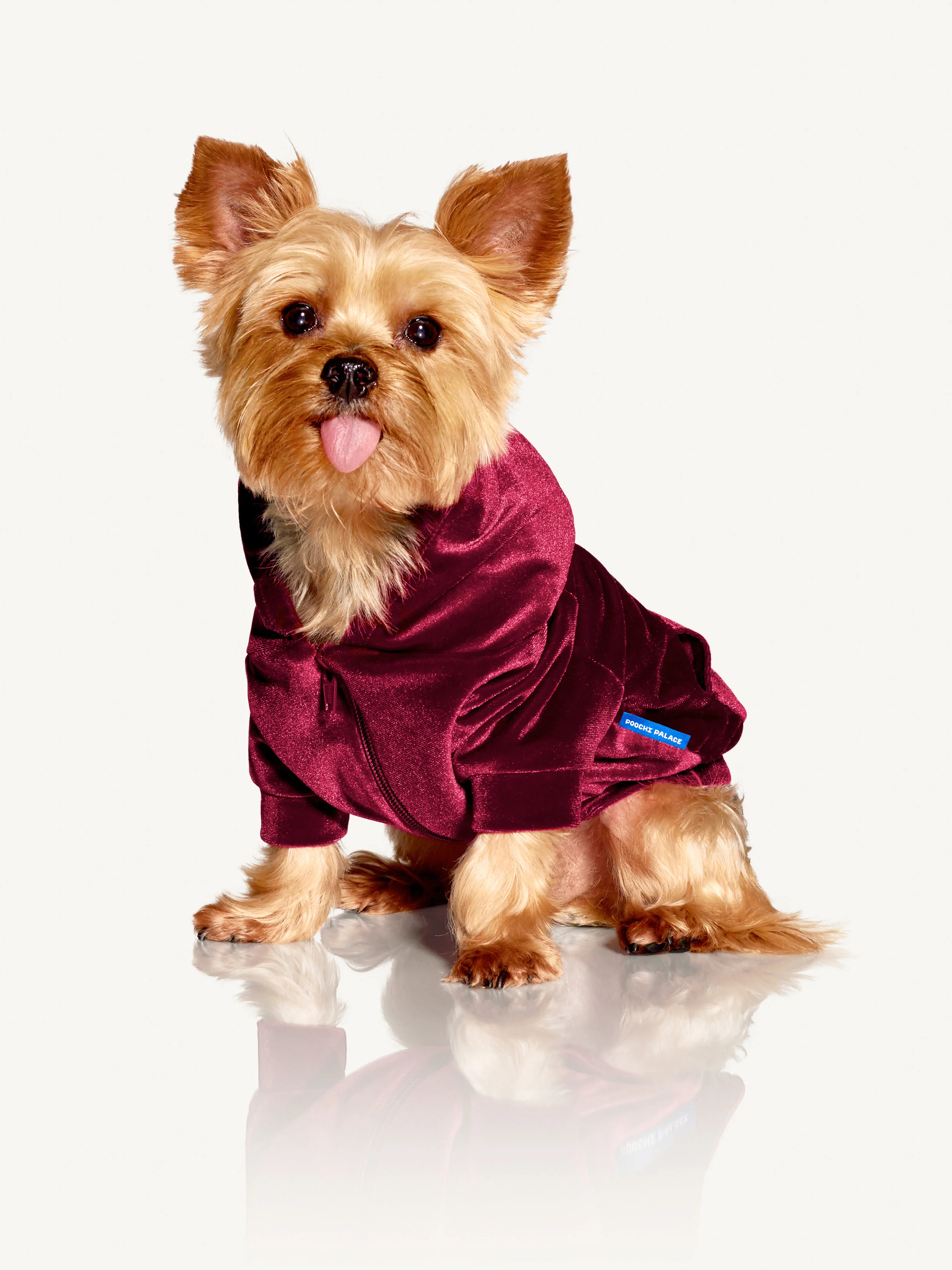 burgundy velvet hoodie