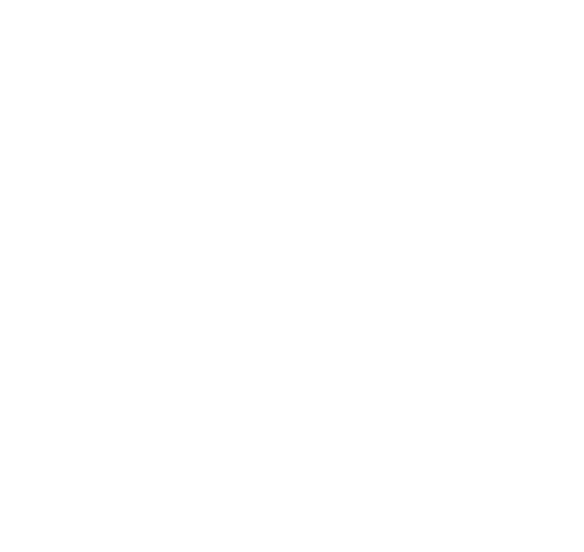 Liz Costigan Fleury