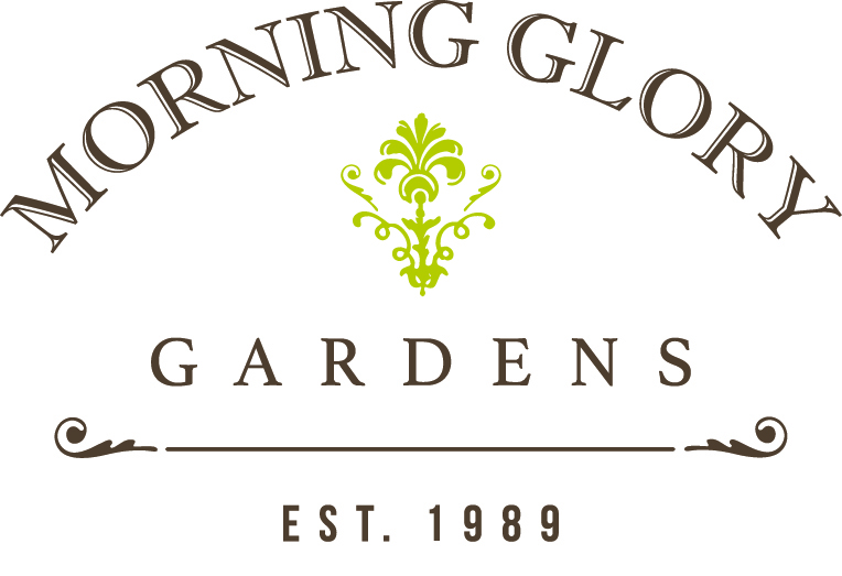 Morning Glory Gardens