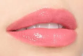 chanel rouge gloss