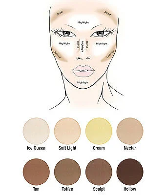 contour and highlight