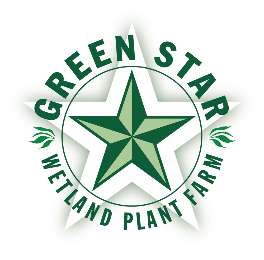 Green Star Wetland Plant Farm