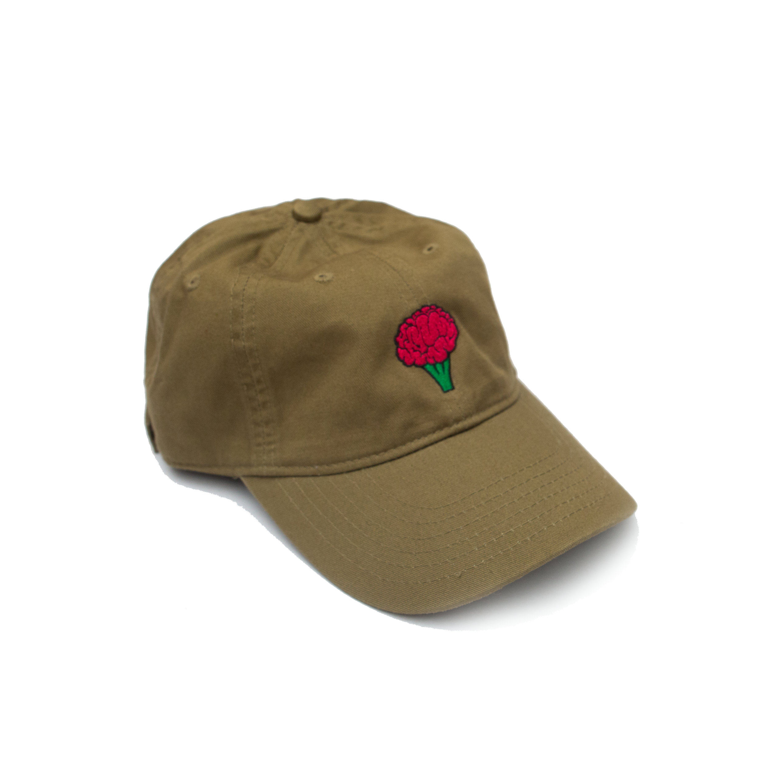 Broc Brain Dad Hats — VEGAN STATE OF MIND