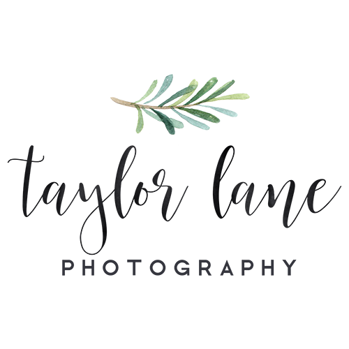 Taylor Lane Photography