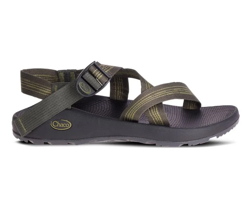 Chaco bluff best sale hunter