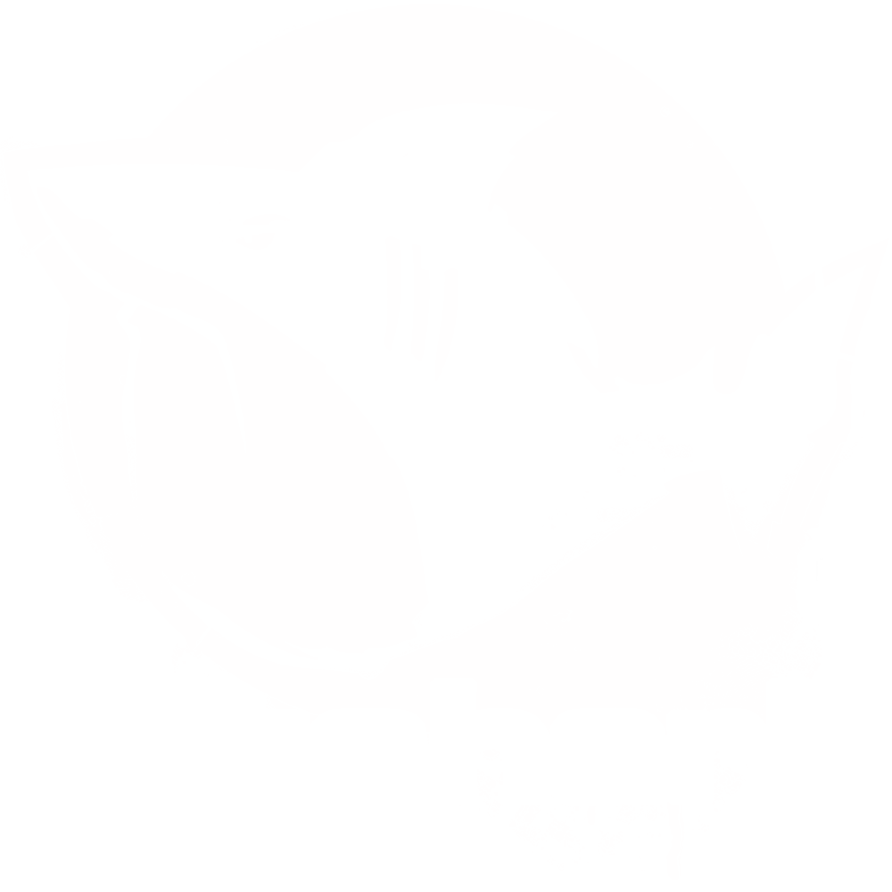 Fatshark