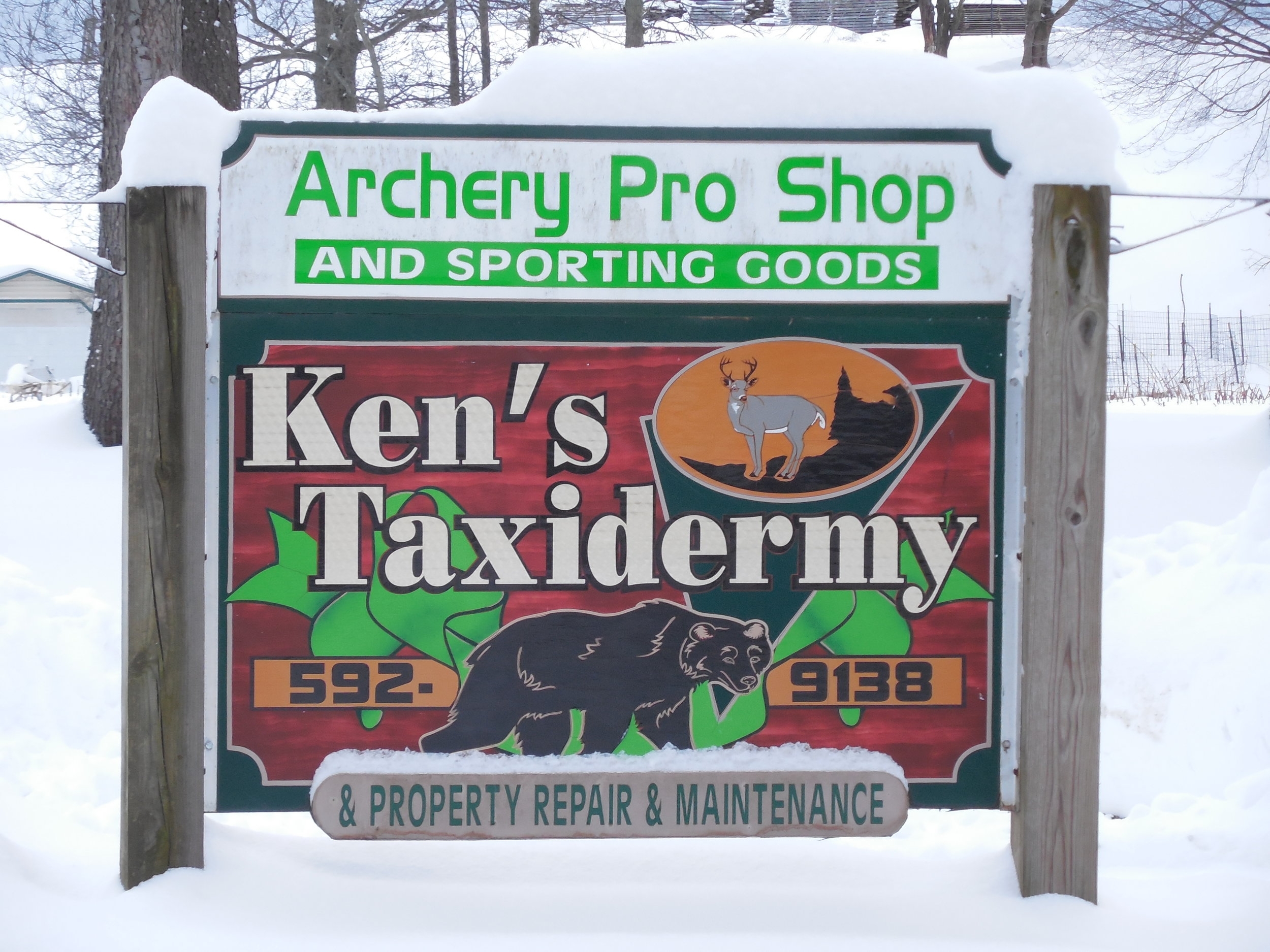 Ken&#39;s Taxidermy and Competition Shooting