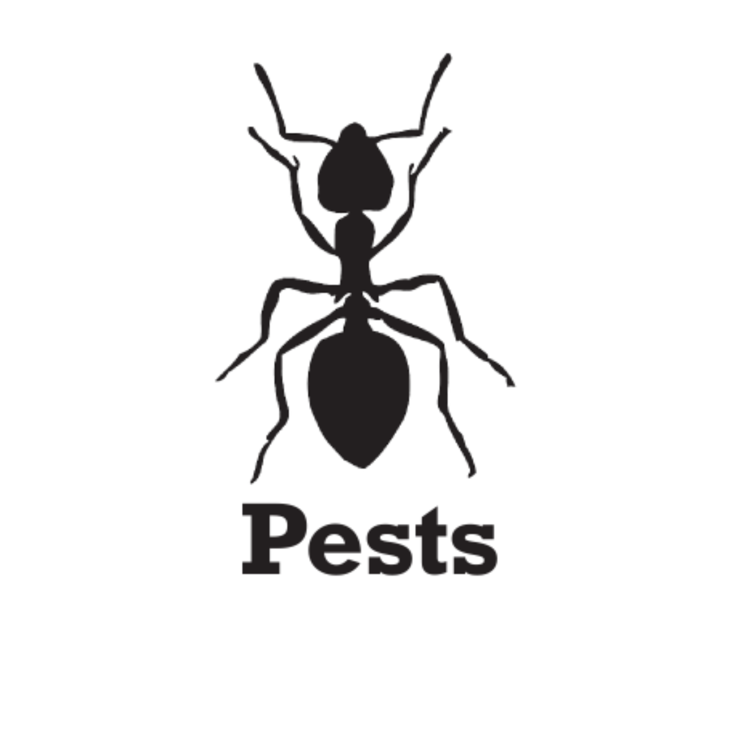 Pests Production