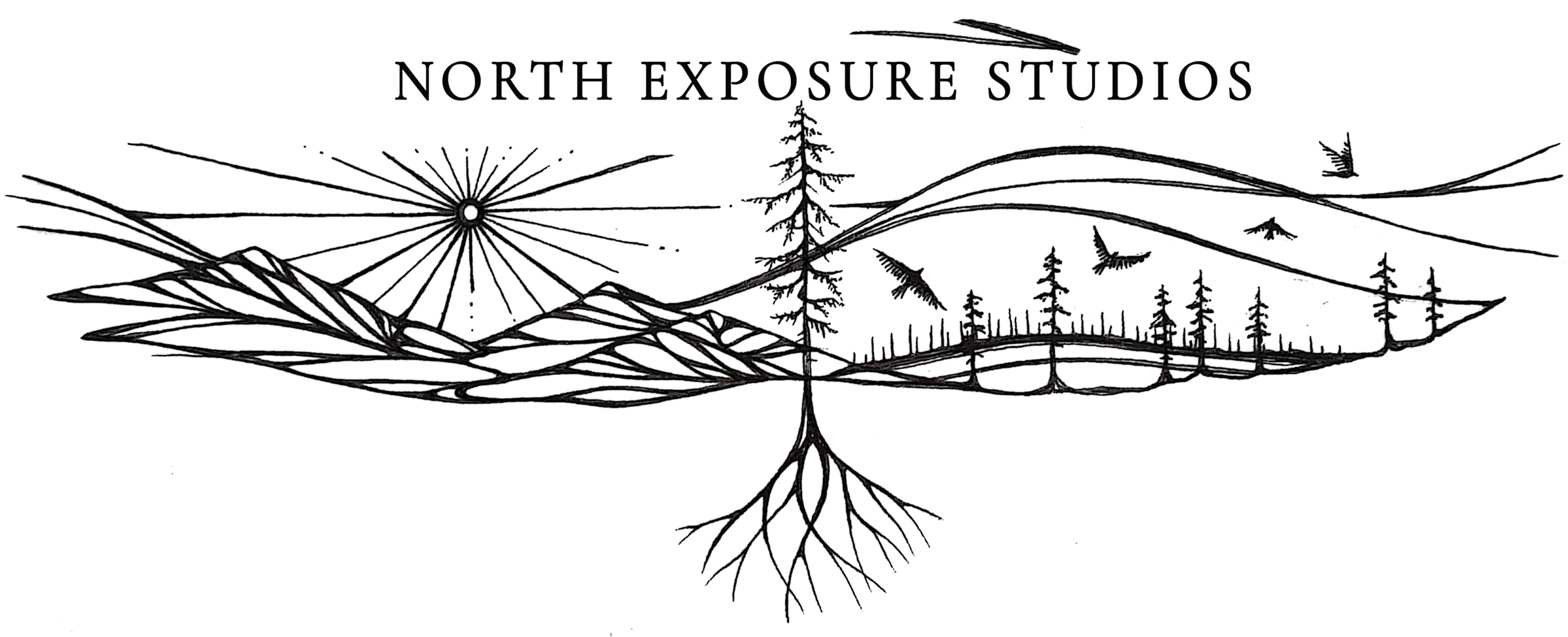 North Exposure Studios