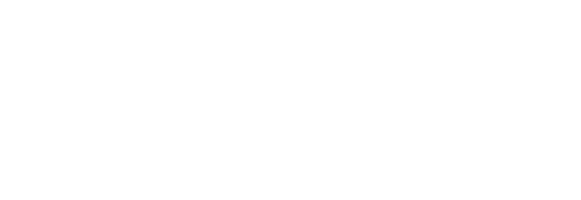 o. Univ.-Prof. Dr. Peter Husslein