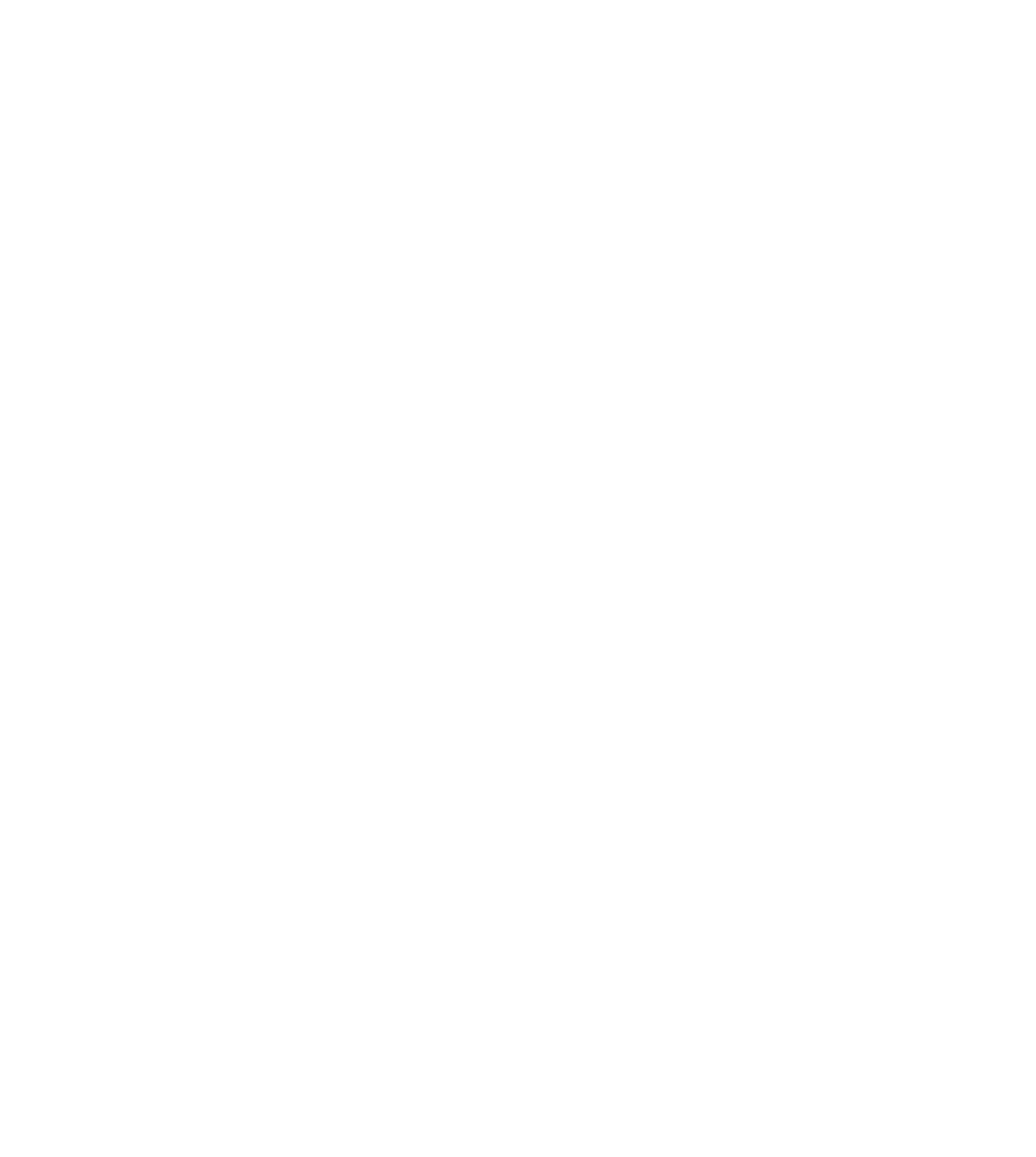 Bravo Brewing Company