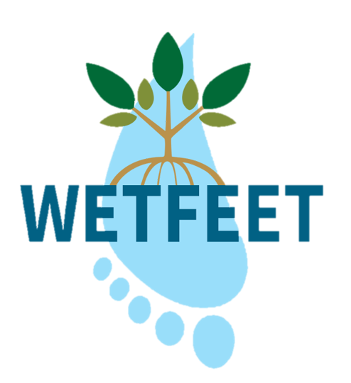 WETFEET Project