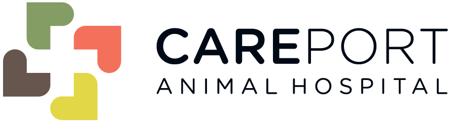 Careport Animal Hospital | Veterinary Clinic in Regina, SK
