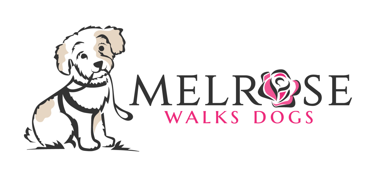 Melrose Walks Dogs