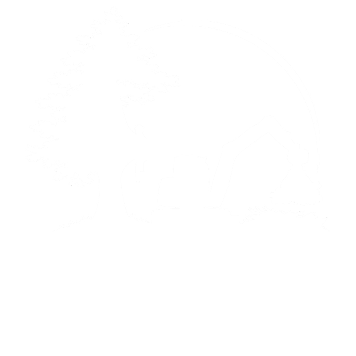 RTS Countryside | Shropshire Site Clearance