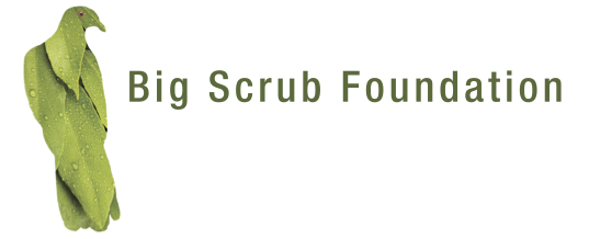 The Big Scrub Rainforest Foundation