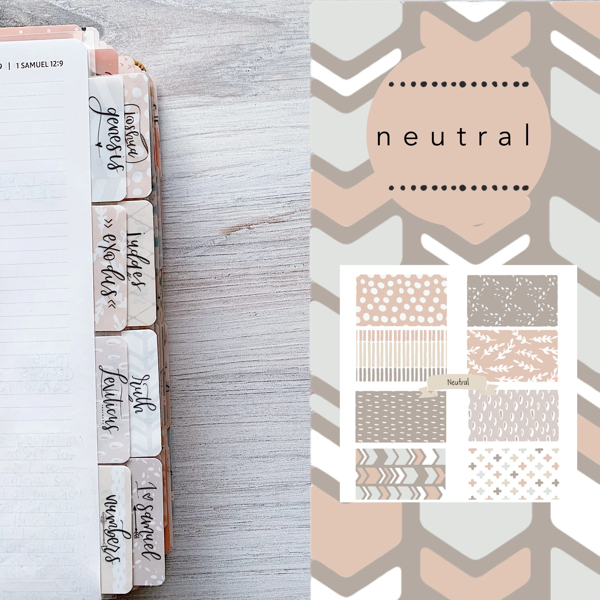 Books Of The Bible Tabs Neutral Find Wondrous Things