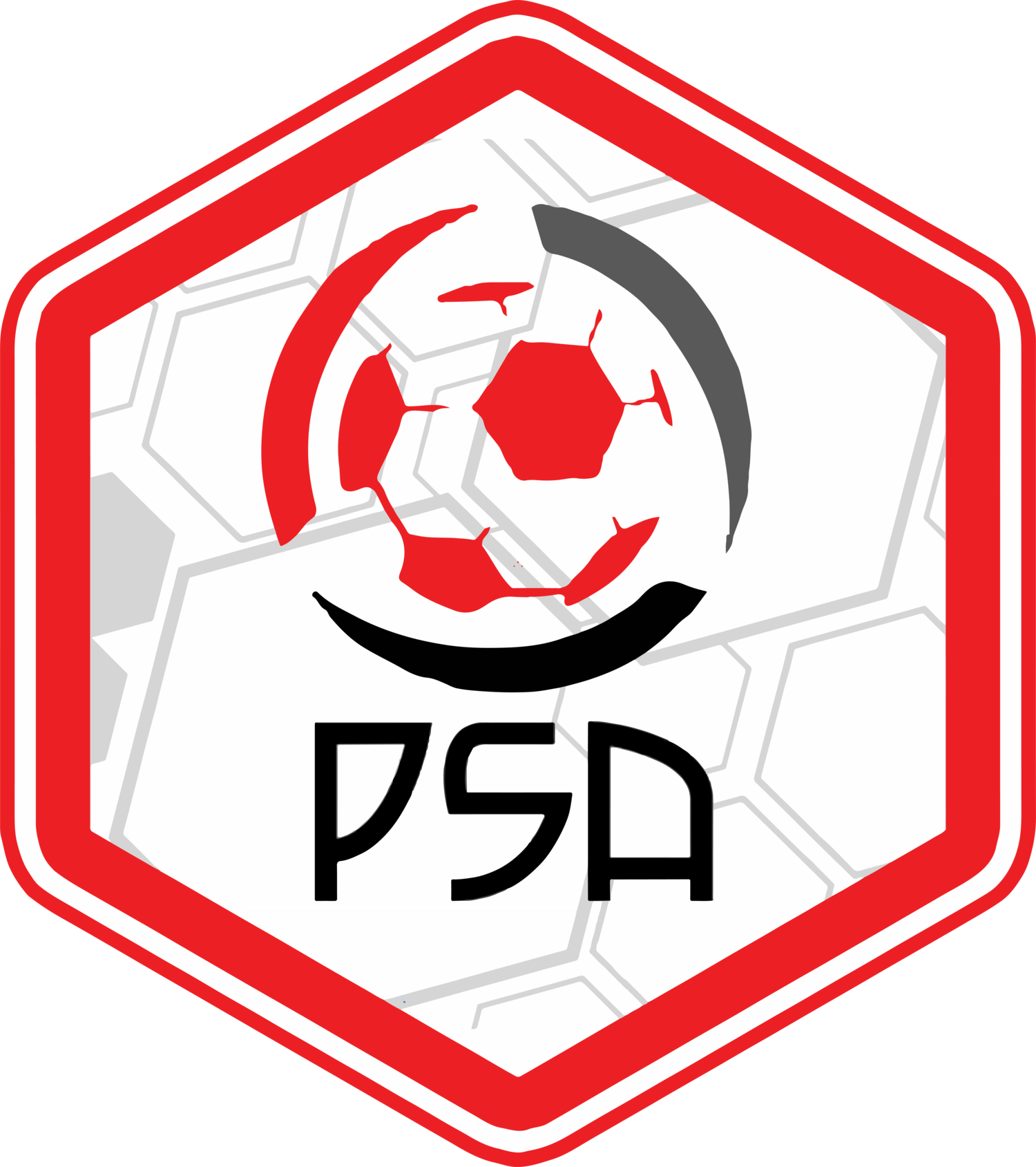 PSA - Pro Sports Academy