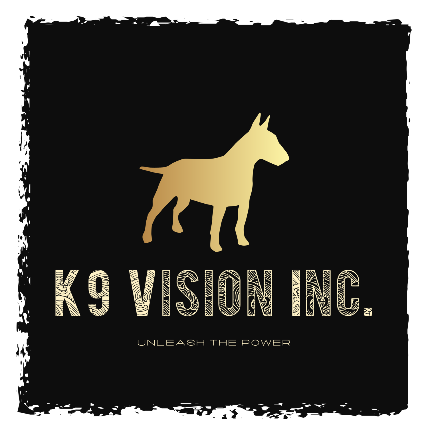 K9 Vision Inc.
