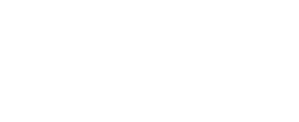 Apostolic Youth & Family Services, Inc.