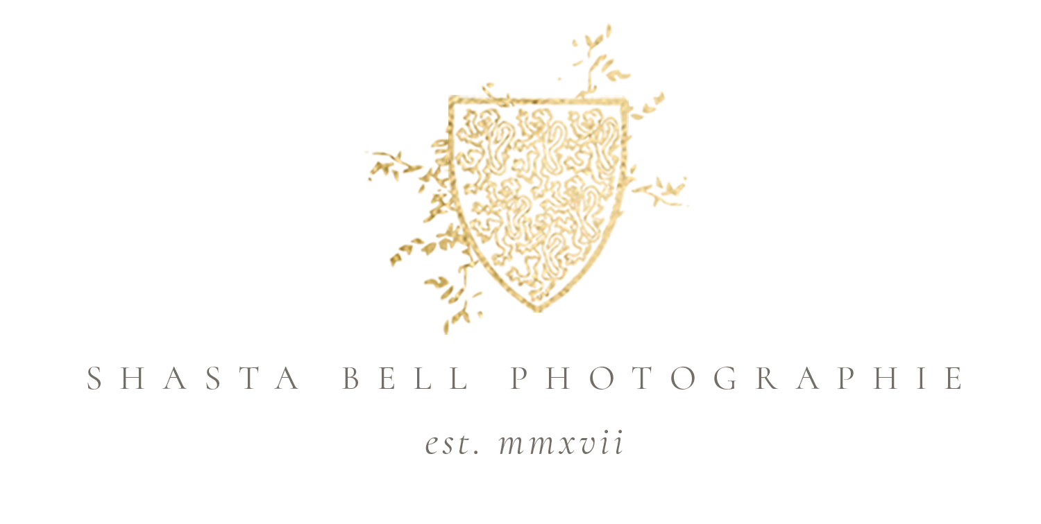 Shasta Bell Photographie: Minnesota & Destination Fine Art Wedding Photography