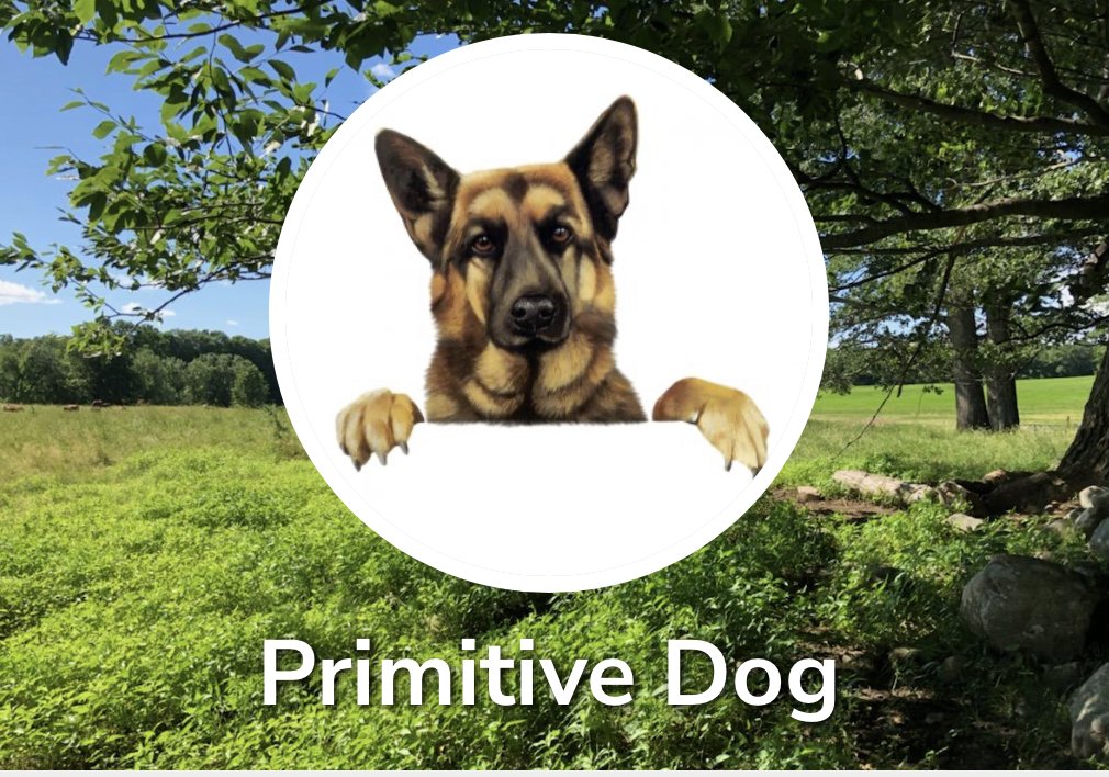 Primitive Dog Training
