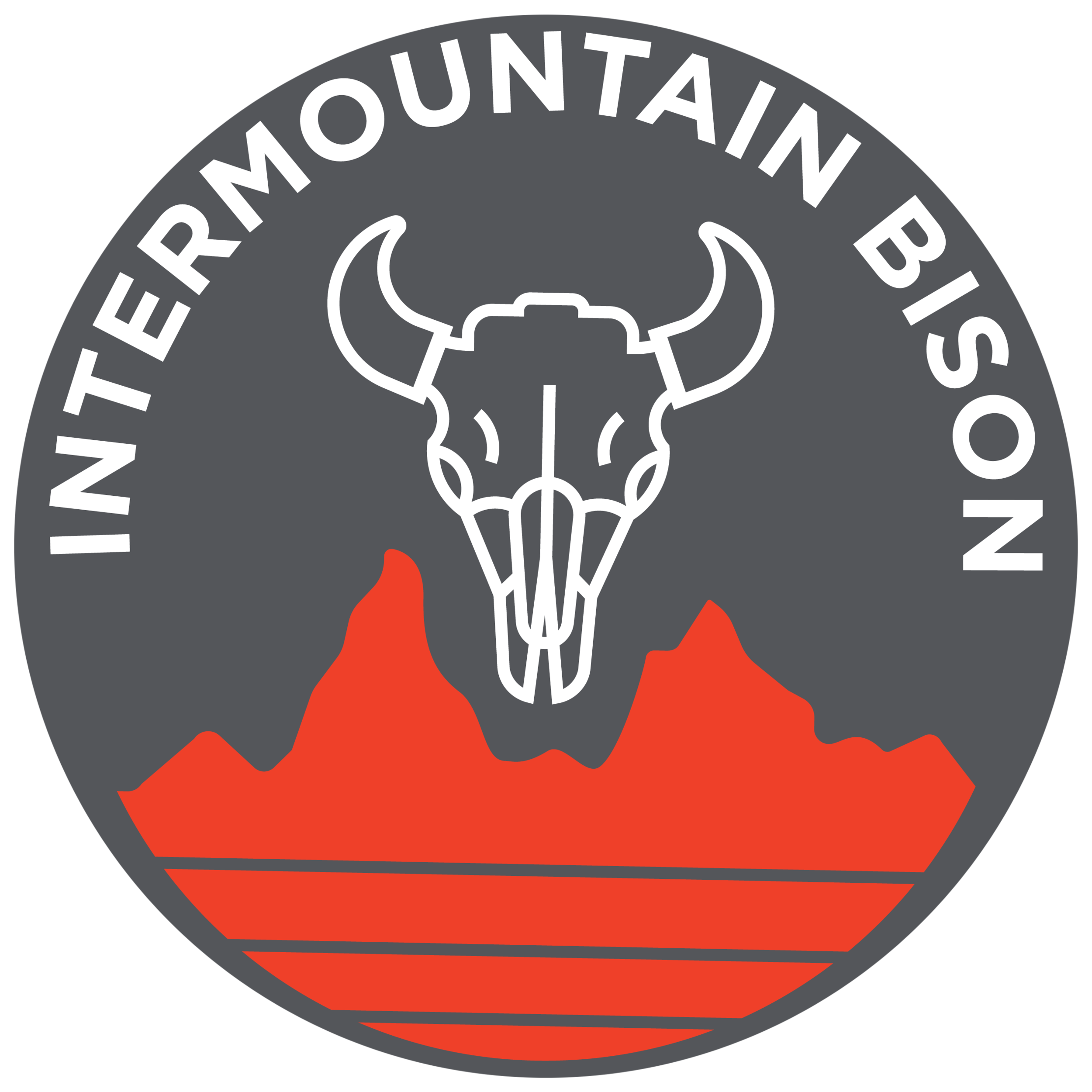 Intermountain Bison