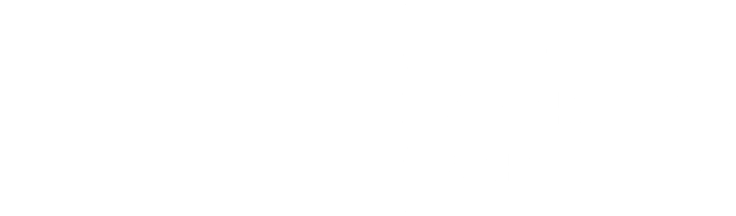 Chief Marketing Partners