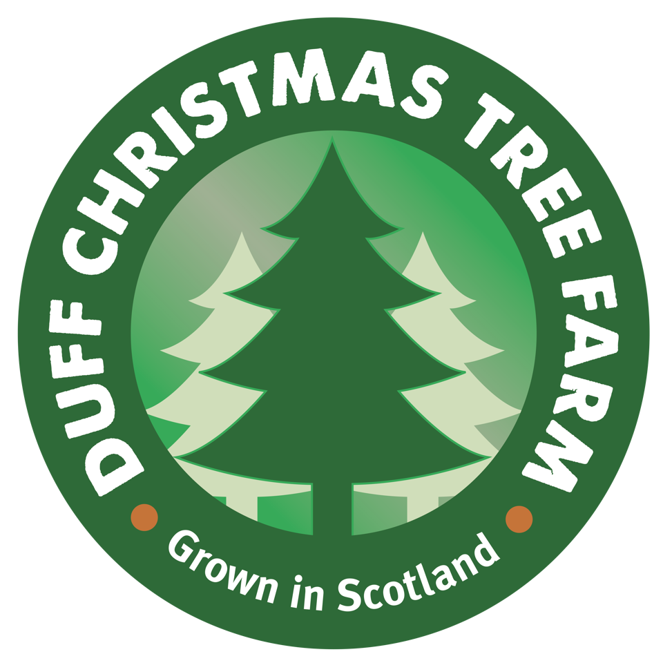 Duff Christmas Tree Farm 