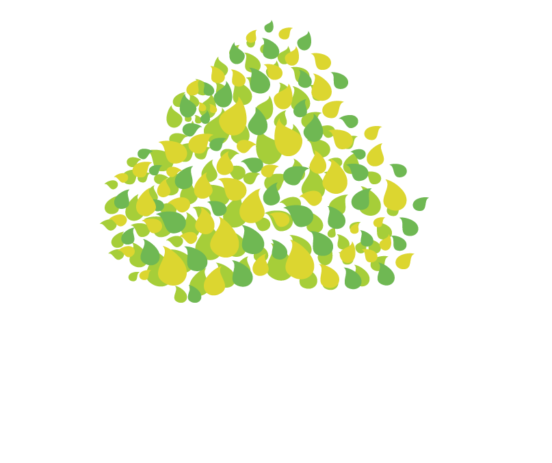 Forest &amp; Natural Resource Advisors - Booyong Forest Science