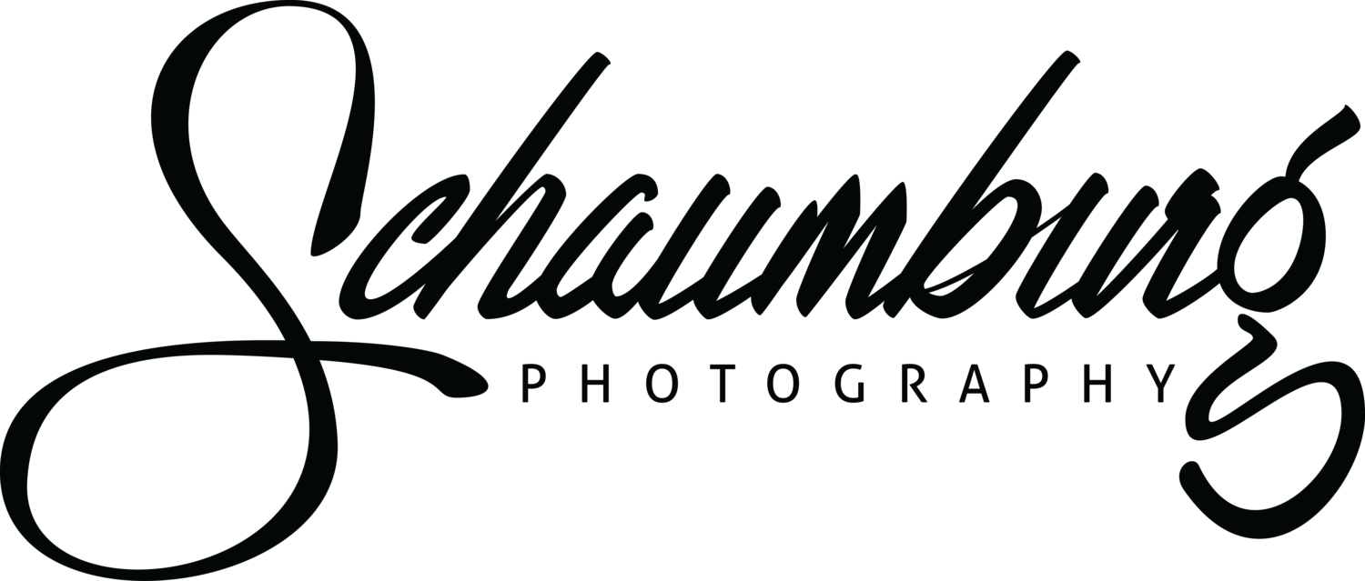 Schaumburg Photography