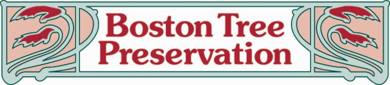 Boston Tree Preservation