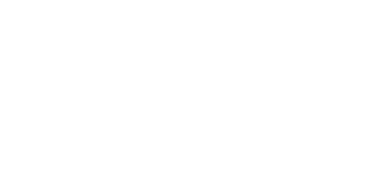 Downtown Washington Inc.